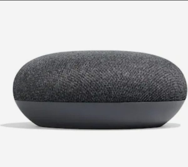 Google Home Assistant (1st gen) Online