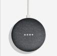 Google Home Assistant (1st gen) Online