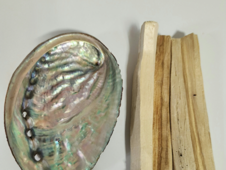 Abalone shell + Palo Santo sticks For Discount