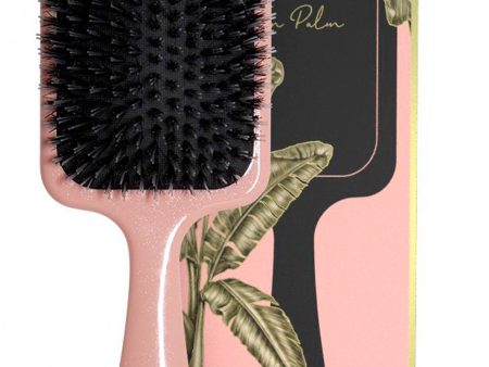 Fan Palm - Boar- & Nylon Brush Stor - Double Bloom For Cheap