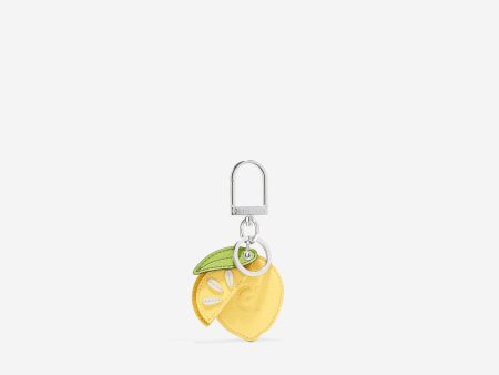 Lemon Key Charm Discount