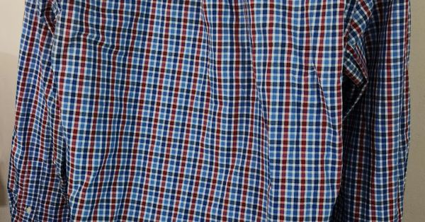 L - Plaid Chaps button down Online now